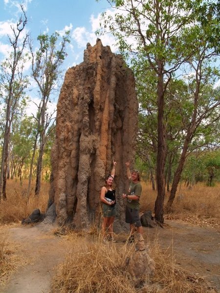 Cathedral termite Mounds