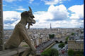 View from Top of Notre Dame