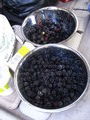 Yum--blackberries!