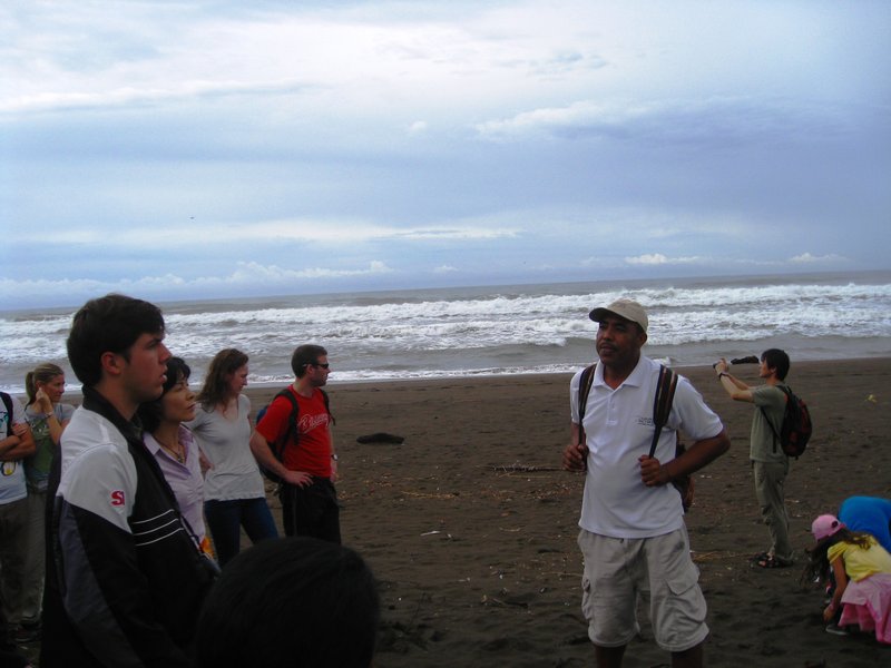Our Guide Describes the History of Turtle Preservation in Tortuguero
