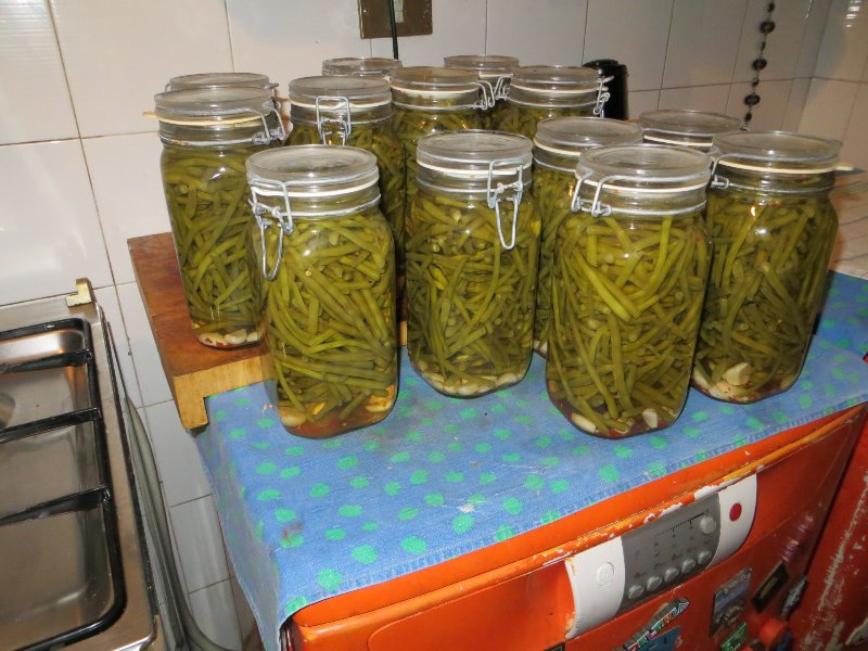 The Pickled Green Beans