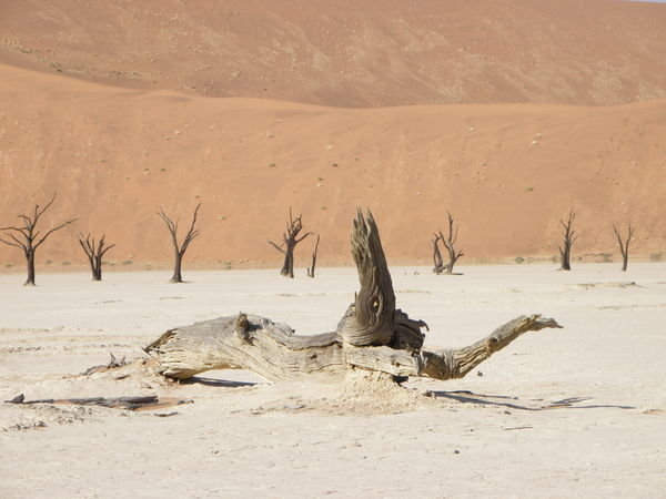 Sossuss Desert
