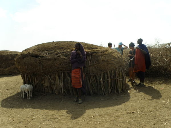 Masai Manyatta