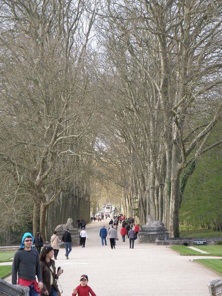 The Walk to Chenonceau