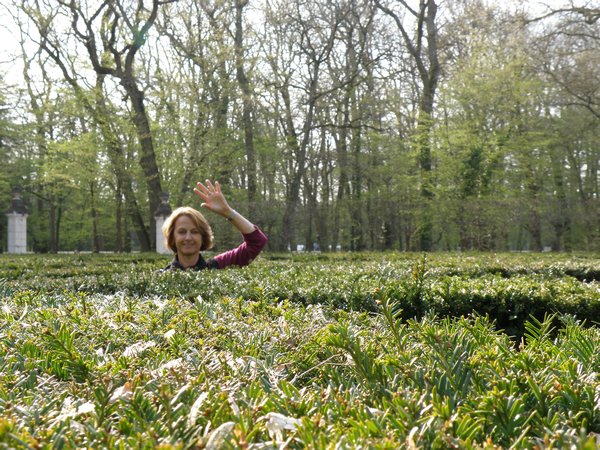 Finding Mum in the Maze
