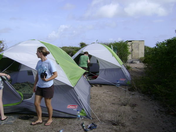 Tents near the beach