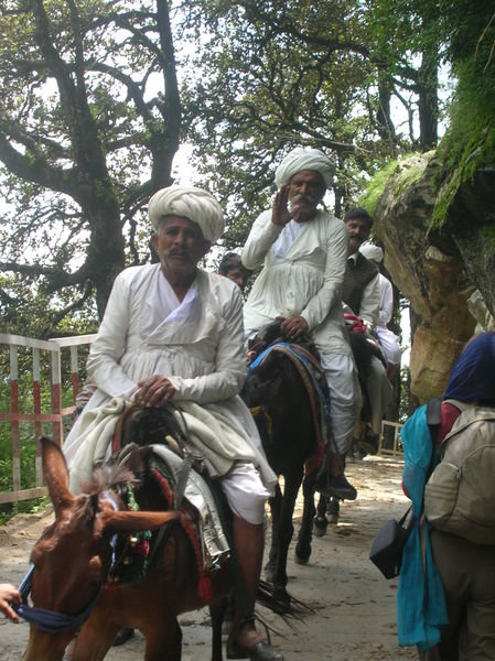 Pilgrims on Mules