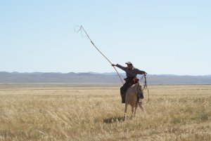 A Mongol herder