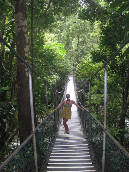 Mossman Gorge