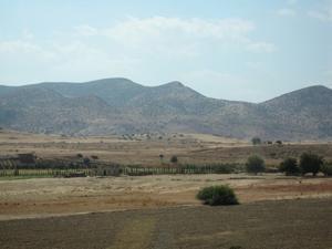 On the way to Fes