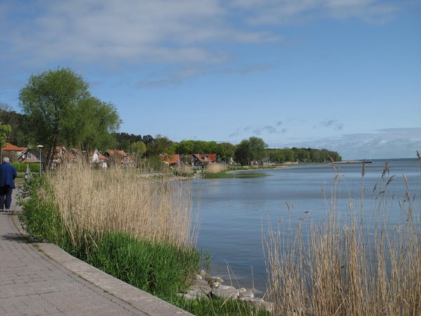 Bay side of Curonian Spit
