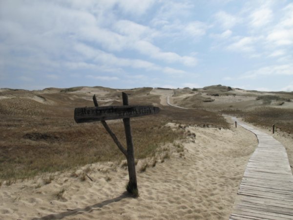Path to the top of the dunes