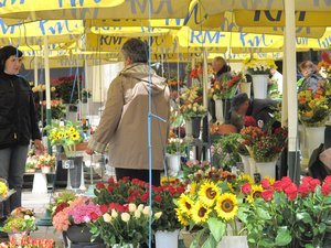 Flower stall in square