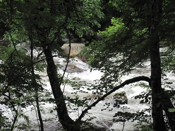 River near Rila Monastery