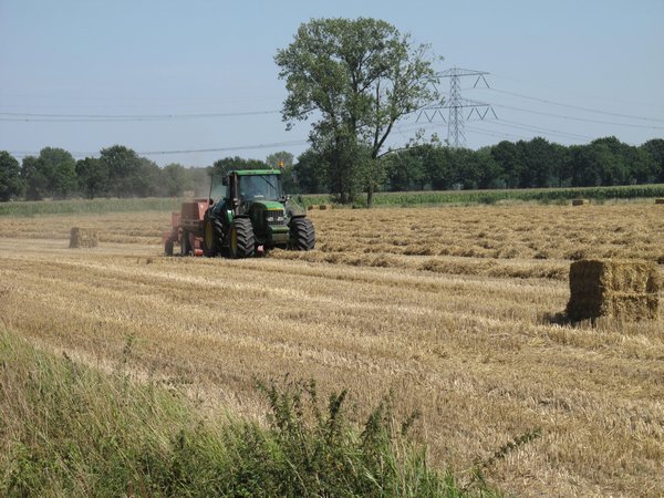 Hay baling in the farmlands near Wijchen