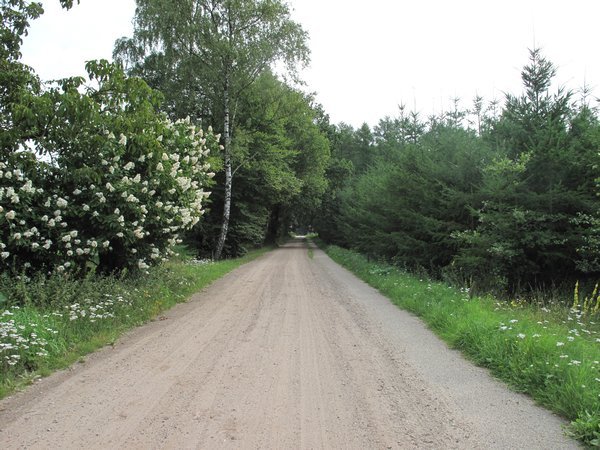 Country road at Klarenbeek