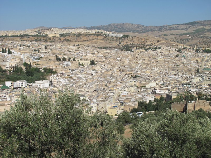 Fes Medina viewed from hill