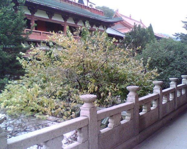Monk's Residence