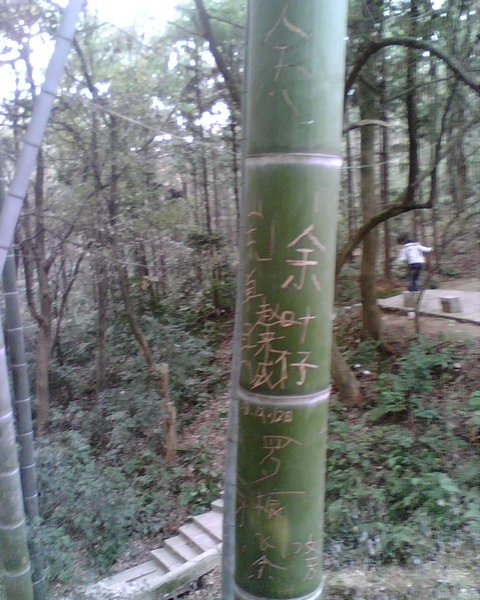 Tagged Bamboo