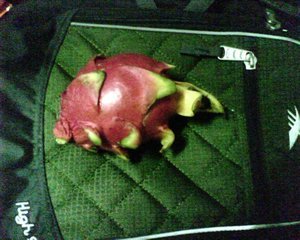 Dragon Fruit on Backpack