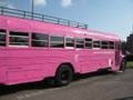 The Big Pink Bus | Photo