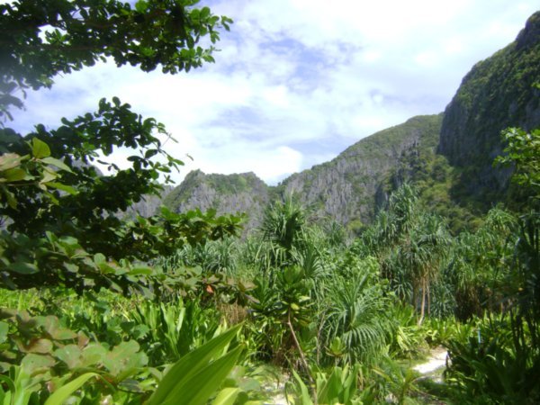 jungle around maya bay