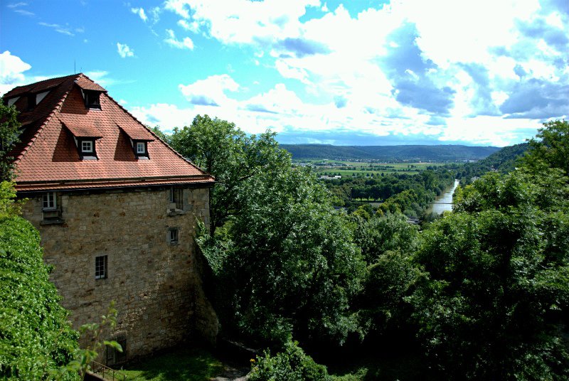 Castle and Neckar