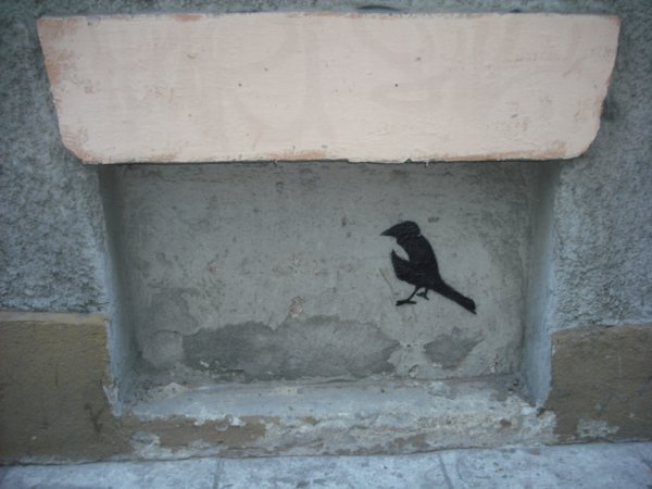 Bird Graffiti #3