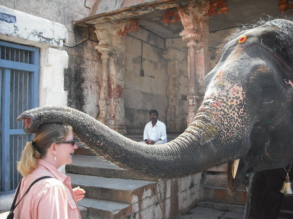 Erin being blessed by an elephant