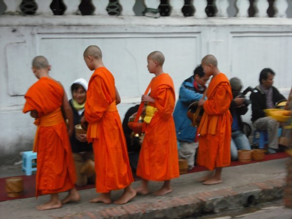 Monks receiving food