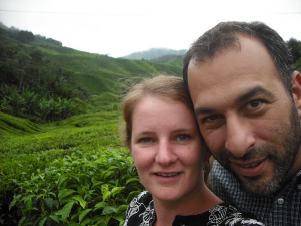 Beautiful tea plantations