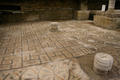 Recently Uncovered Mosaics