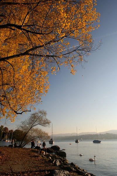Autumn in Zurich