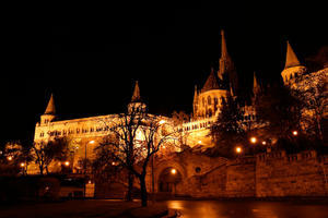 Castle in Buda