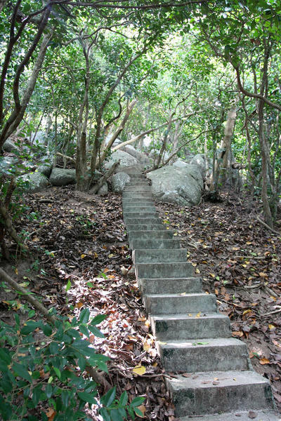 Trail to the Summit