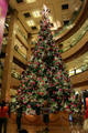 O Christmas Tree, O Christmas Tree!