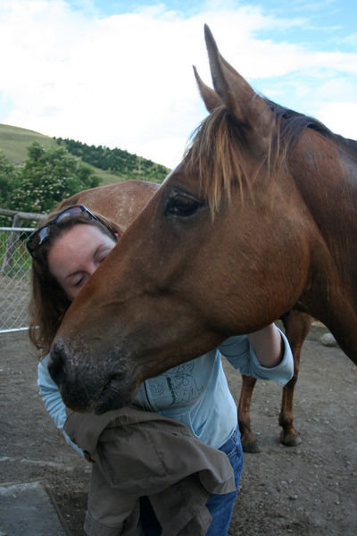 Horse Kiss