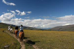 Horseback New Zealand
