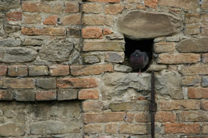 Pigeonhole