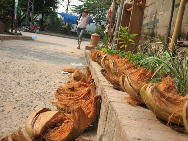 Drying coconut husks....they use coconut for eeeeverything