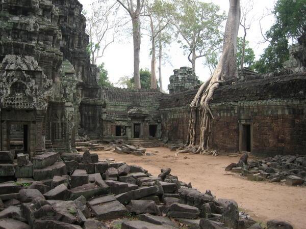 the wooonderfully amazingly awesome ta prohm.