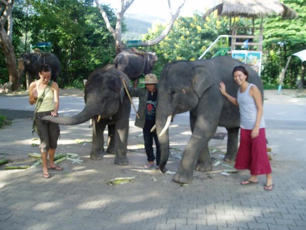 Us and the Elephants
