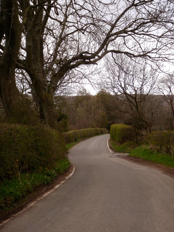 A typical English country road