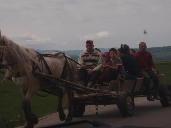 As we drove, we saw lots of these horse and carts, even in cities!