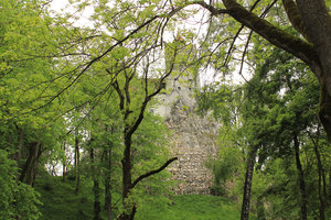The Bran Castle through the gardens