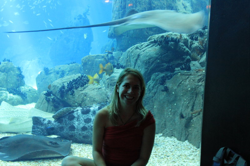 Pretending to be in the aquarium, watch out for the stingray!