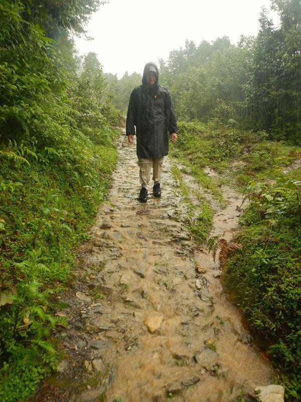 The Rain doesn't rest for long in monsoon season