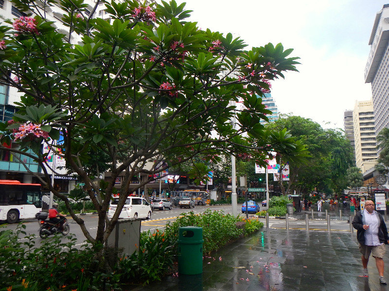 Orchard Road: Shopping Mecca