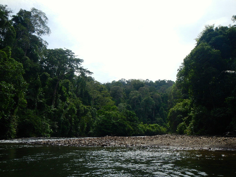Temburong River