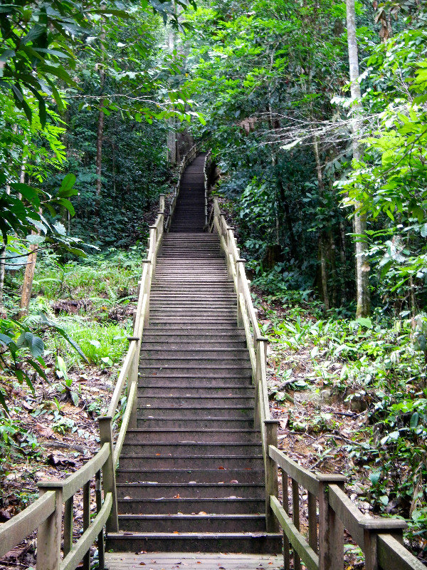 Steep Stairs Into The Park